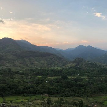 Hazel Jupp