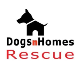 DogsnHomes Rescue