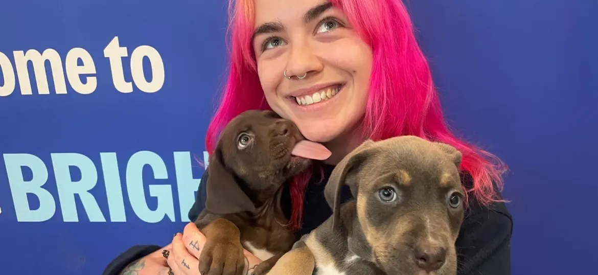 RSPCA Brighton & The Heart of Sussex