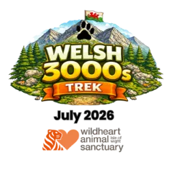 Team Wildheart Welsh 3000s