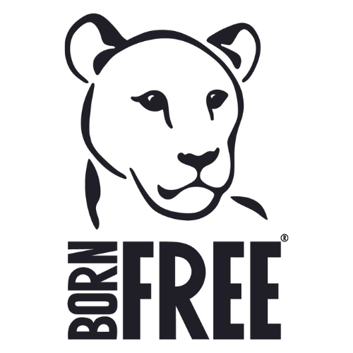The Born Free Foundation