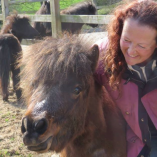 MUNCHKINS MINIATURE SHETLAND RESCUE