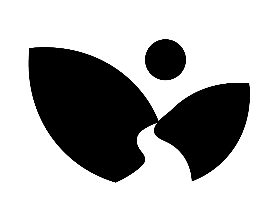 The Langholm Initiative