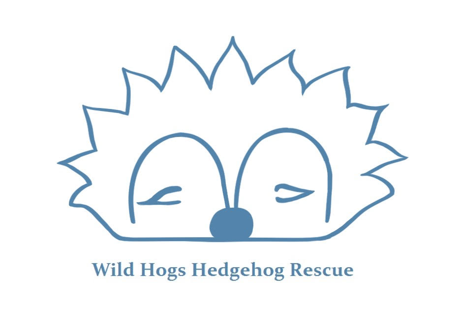 Wild Hogs Hedgehog Rescue