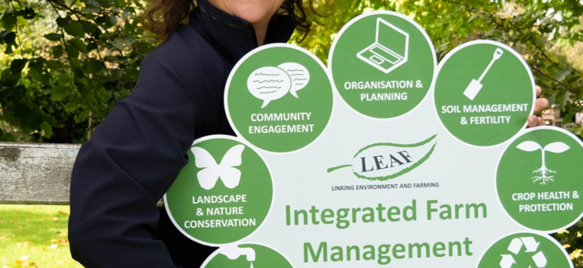 The LEAF Caroline Drummond Scholarship for Innovation in Sustainability