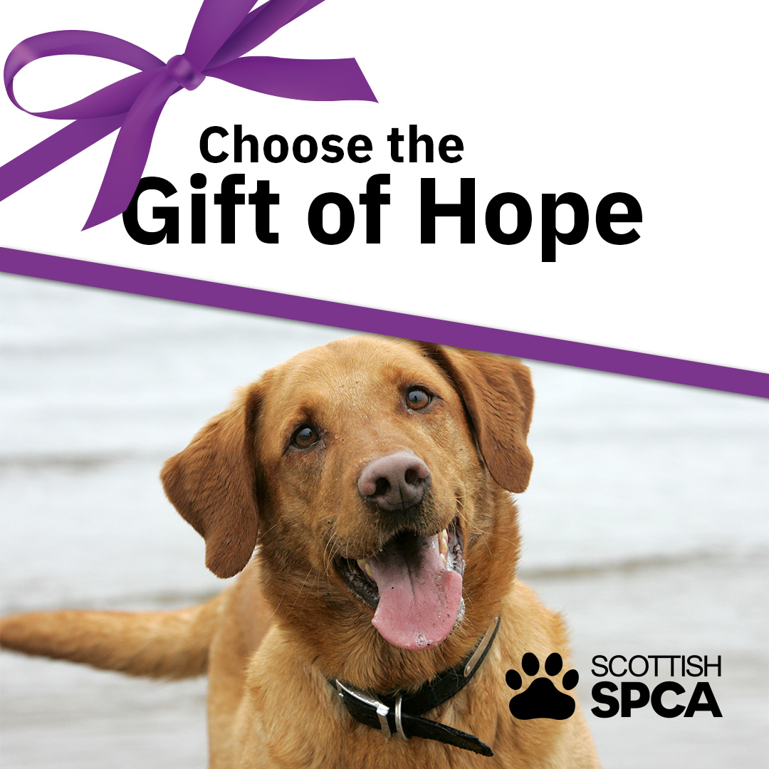 Scottish SPCA