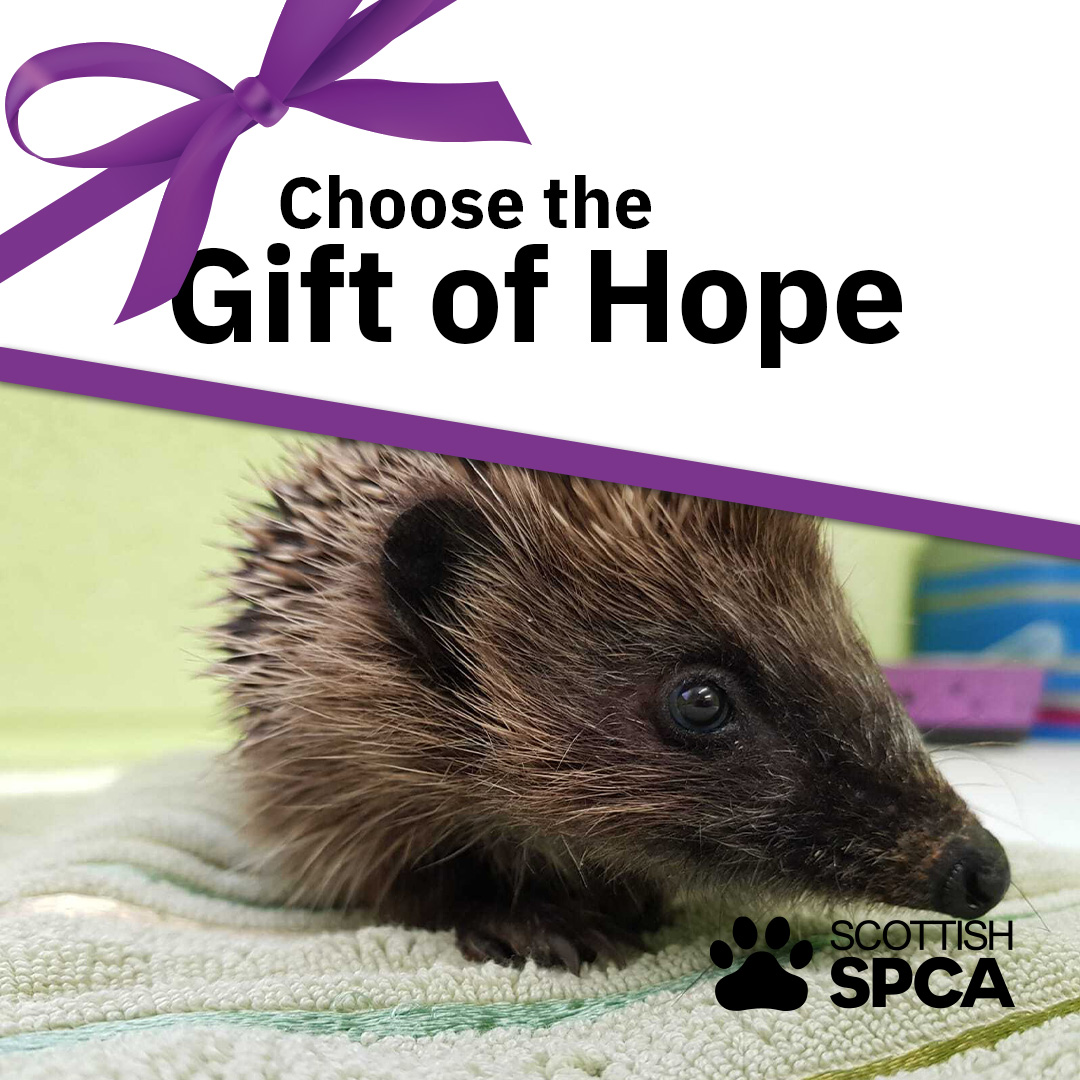 Scottish SPCA
