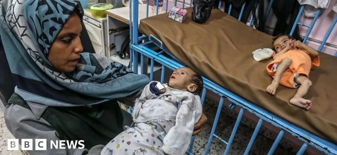 Medical Aid For Palestinians