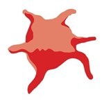 The Platelet Society