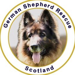 German Shepherd Rescue Scotland