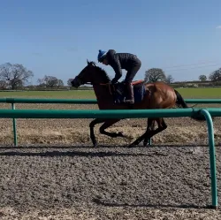 Jack Brooks