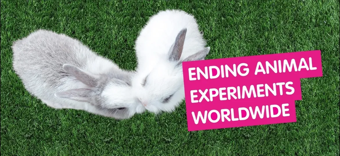 Cruelty Free International