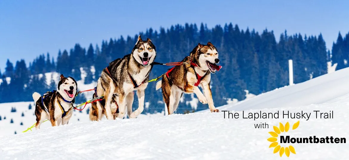 The Lapland Husky Trail