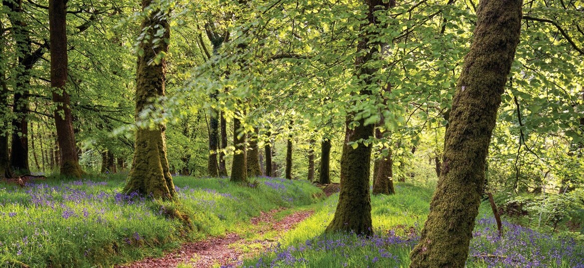 CareMoor for Exmoor