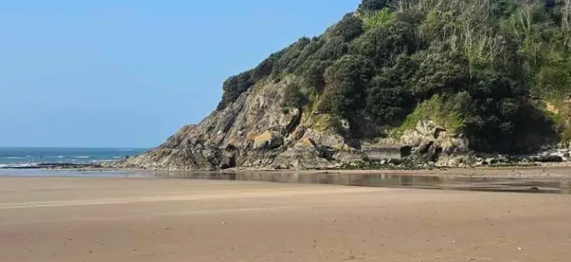 Swansea Bay Health Charity