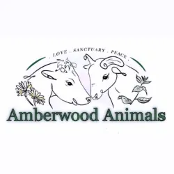 Amberwood Animals