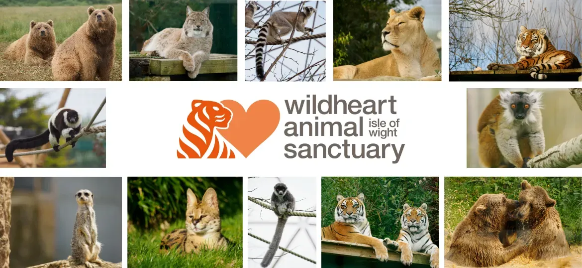 Wildheart Animal Sanctuary