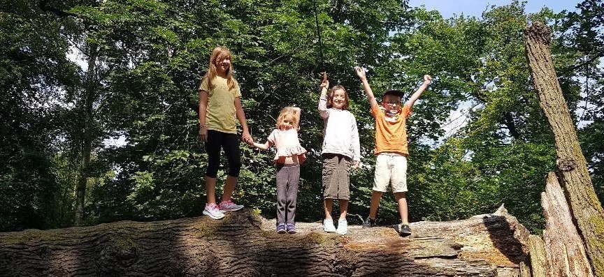 Gorlin Syndrome Group