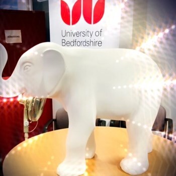 University of Beds