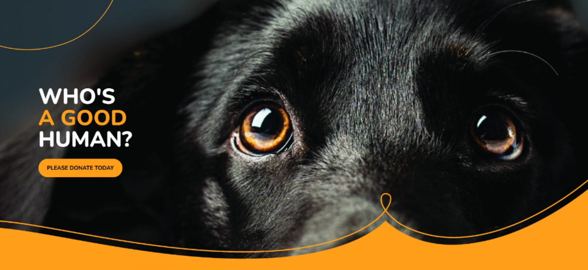 DSPCA