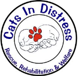 CATS IN DISTRESS