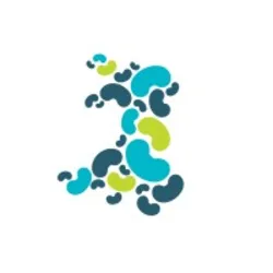 Kidney Wales