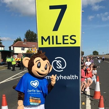 Mito Monkey
