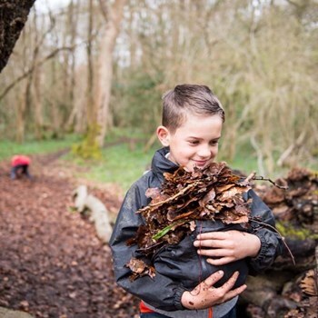 Eynsham Eagle and Falcon Cubs