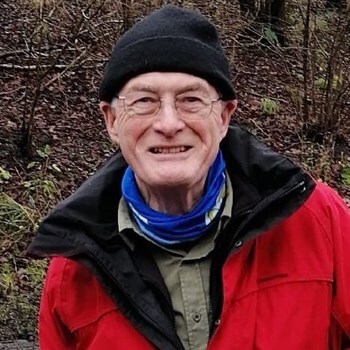 David Gibson