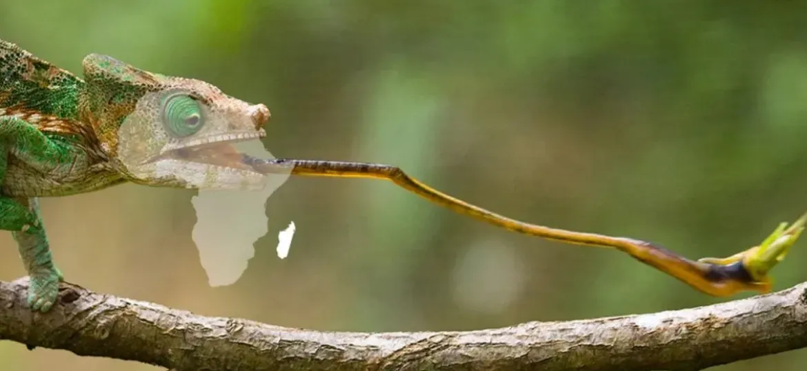 SEED Madagascar