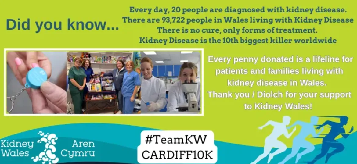 Kidney Wales