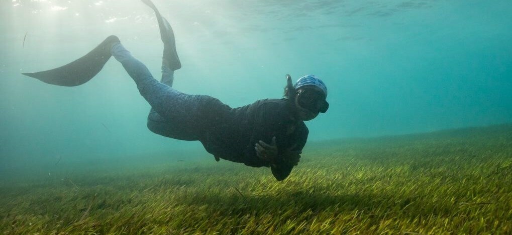 Blue Marine Foundation