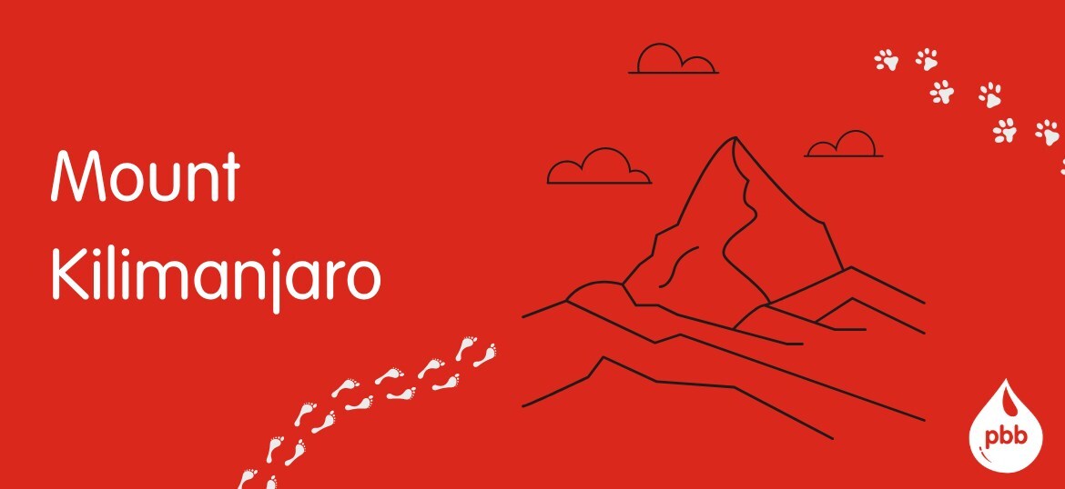 Mount Kilimanjaro virtual challenge