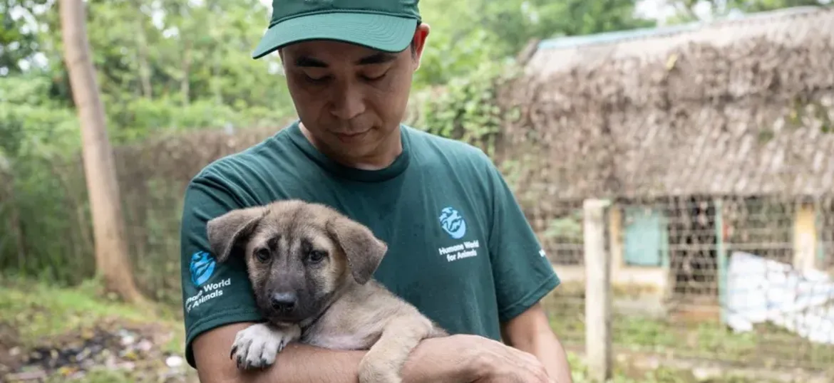 Humane World for Animals