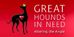 Great Hounds in Need