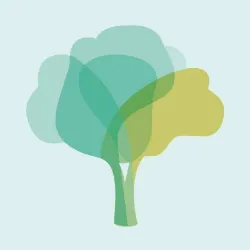 The Elm Foundation