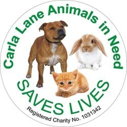 Animals In Need
