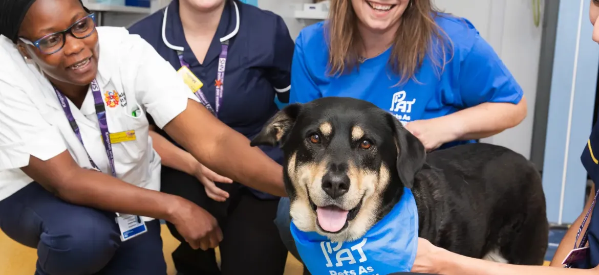 Pets As Therapy
