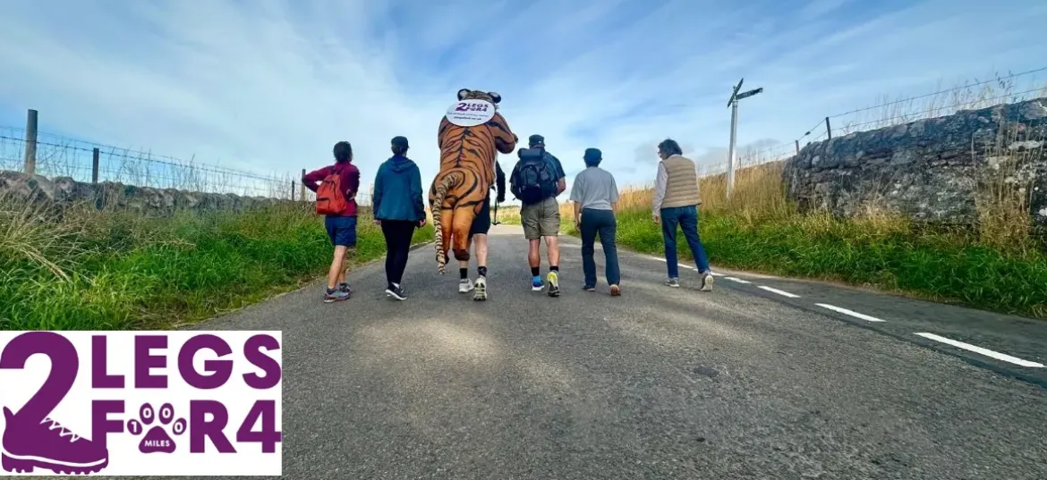 2 Legs for 4 - fundraising for tigers