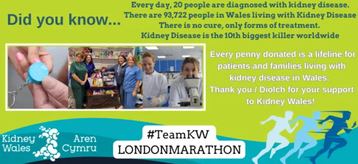 Kidney Wales
