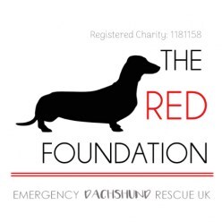 The RED Foundation