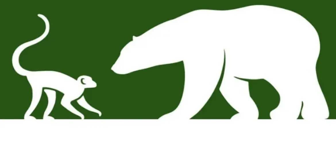 WildLife Foundation