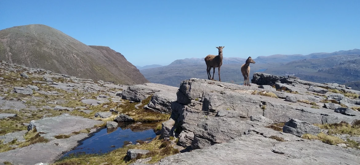 Great Wilderness Challenge