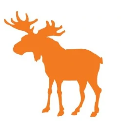 bigmoose