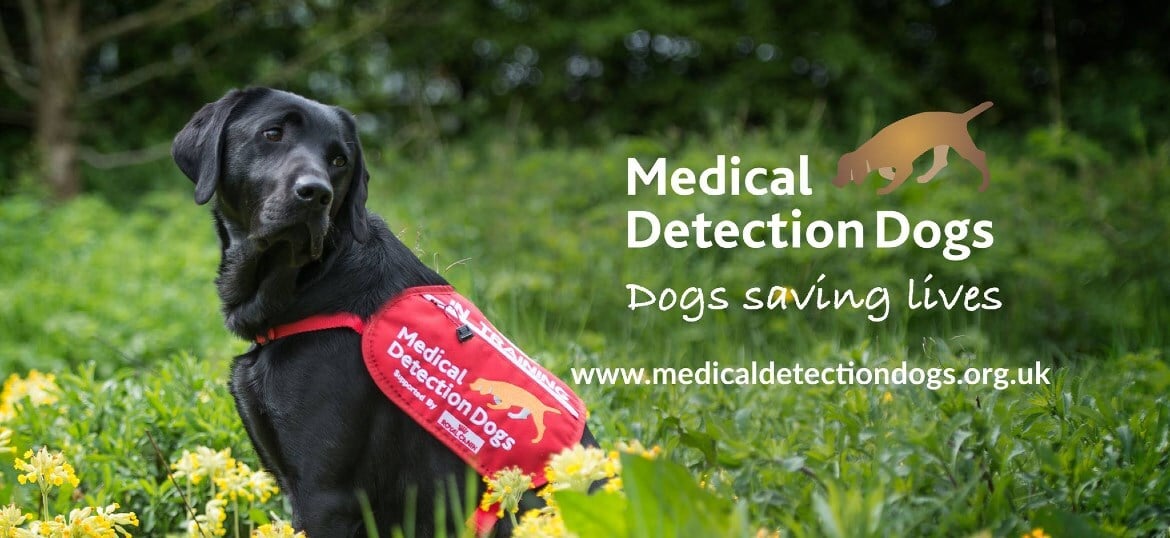 Medical Detection Dogs