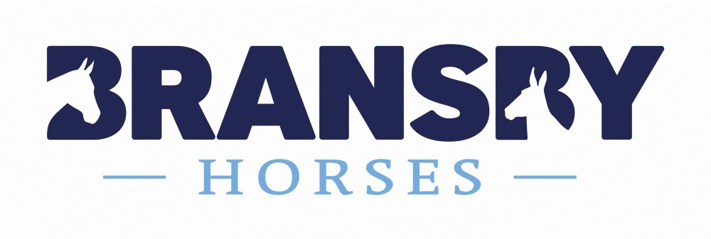Make a donation to Bransby Horses