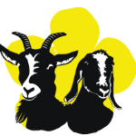Buttercups Sanctuary For Goats