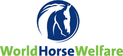 World Horse Welfare