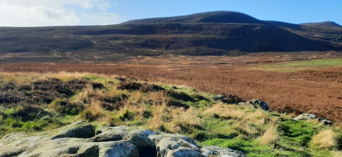 Northumberland Wildlife Trust