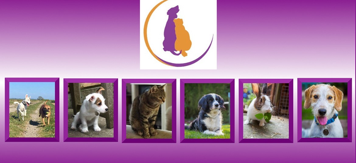 Luna Animal Rescue